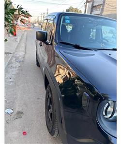 جيب رينيجيد